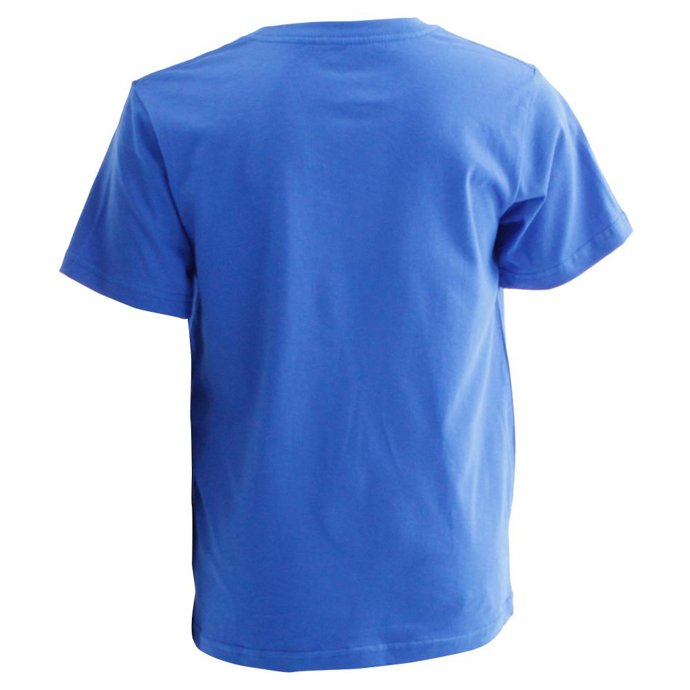 Kids' Salomon ACHIEVE SS B T Shirts Blue | US-IUFY654