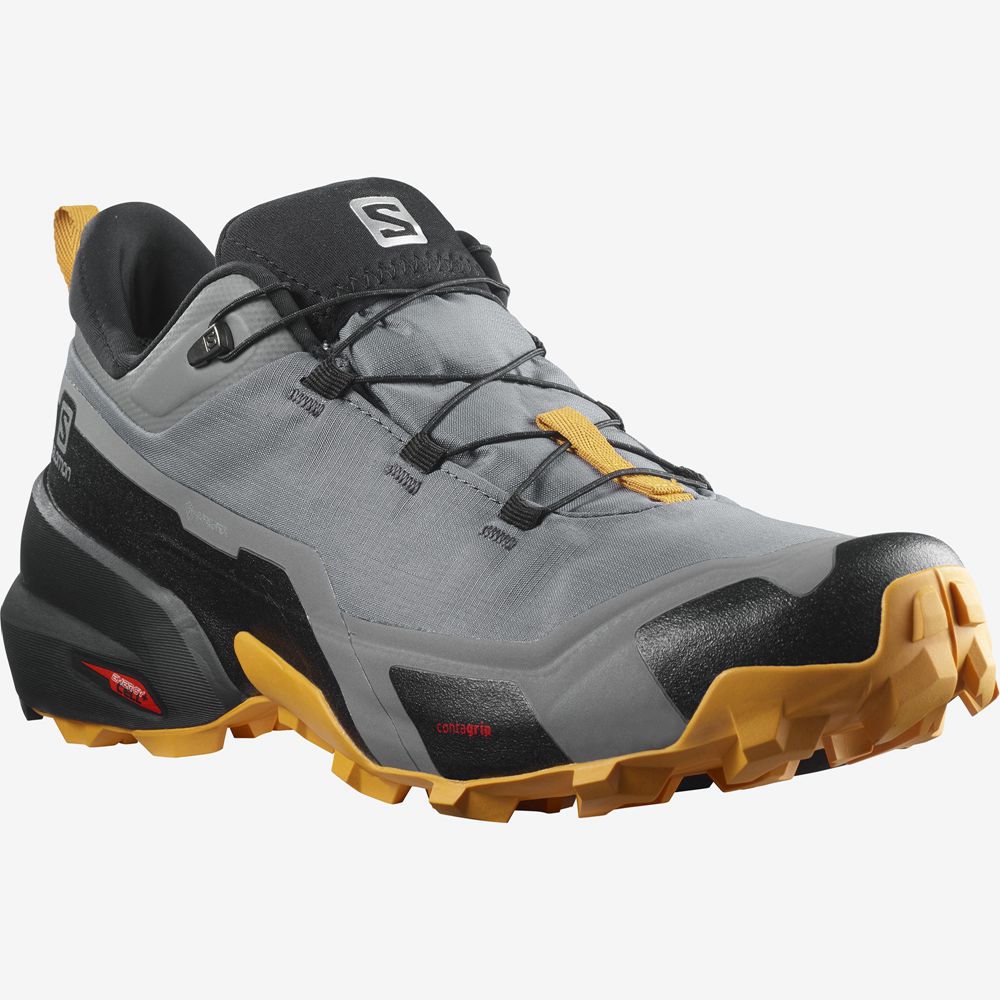 Men's Salomon CROSS HIKE GORE-TEX Hiking Shoes Grey | US-TJGS294