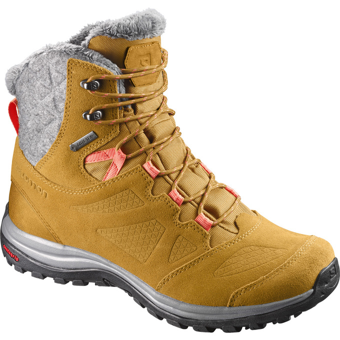 Men\'s Salomon ELLIPSE GTX Winter Boots Brown | US-CRAM925