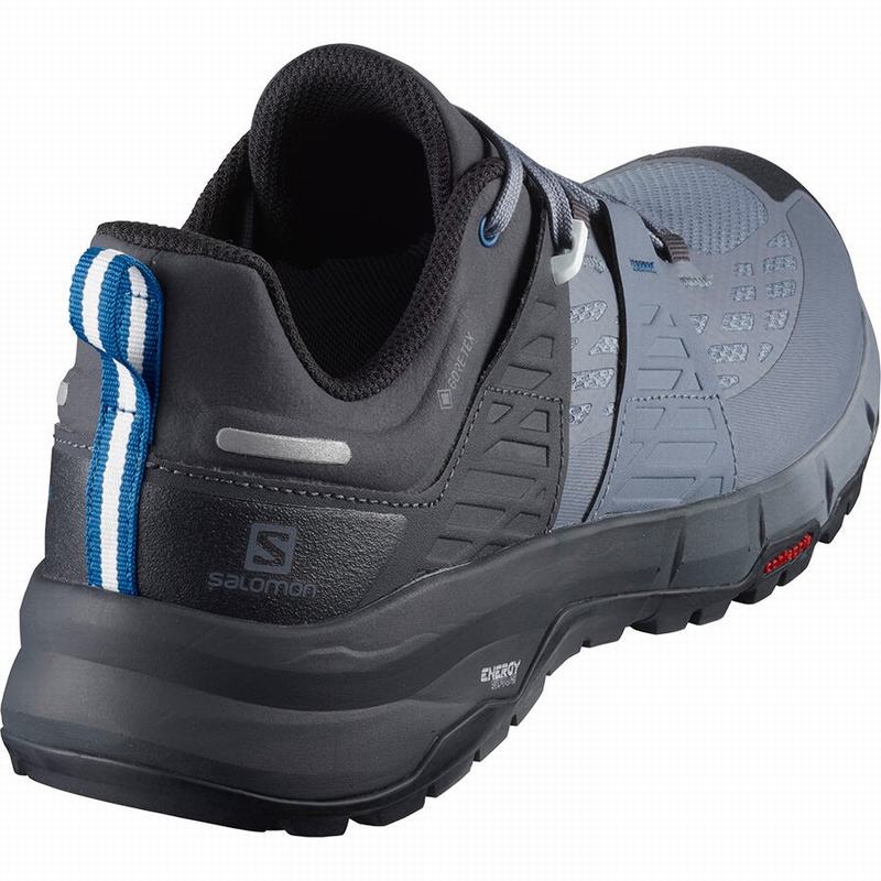 Men's Salomon ODYSSEY GTX Hiking Shoes Grey / Royal | US-RTBH632