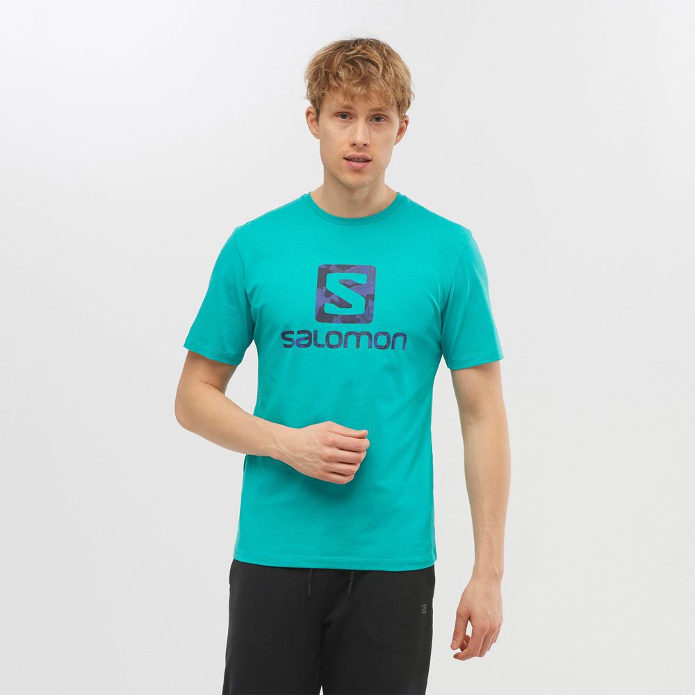 Men\'s Salomon OUTLIFE LOGO Short Sleeve T Shirts Mint | US-ZHCT259