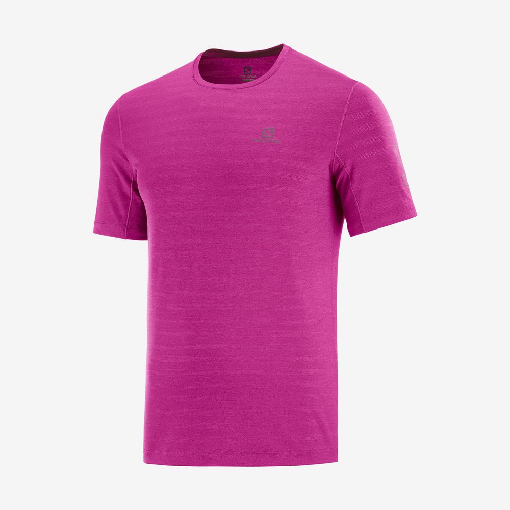 Men's Salomon OUTLINE New Trail Running Gear T Shirts Purple | US-RGYW451