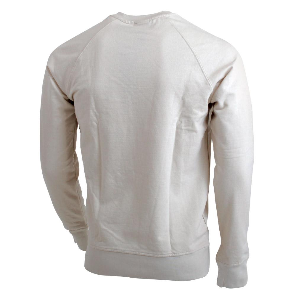 Men's Salomon PROCEED M Pullover White | US-PFNM796