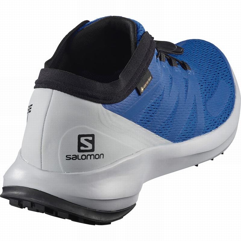 Men's Salomon SENSE FLOW GTX Trail Running Shoes Blue | US-RZLP057