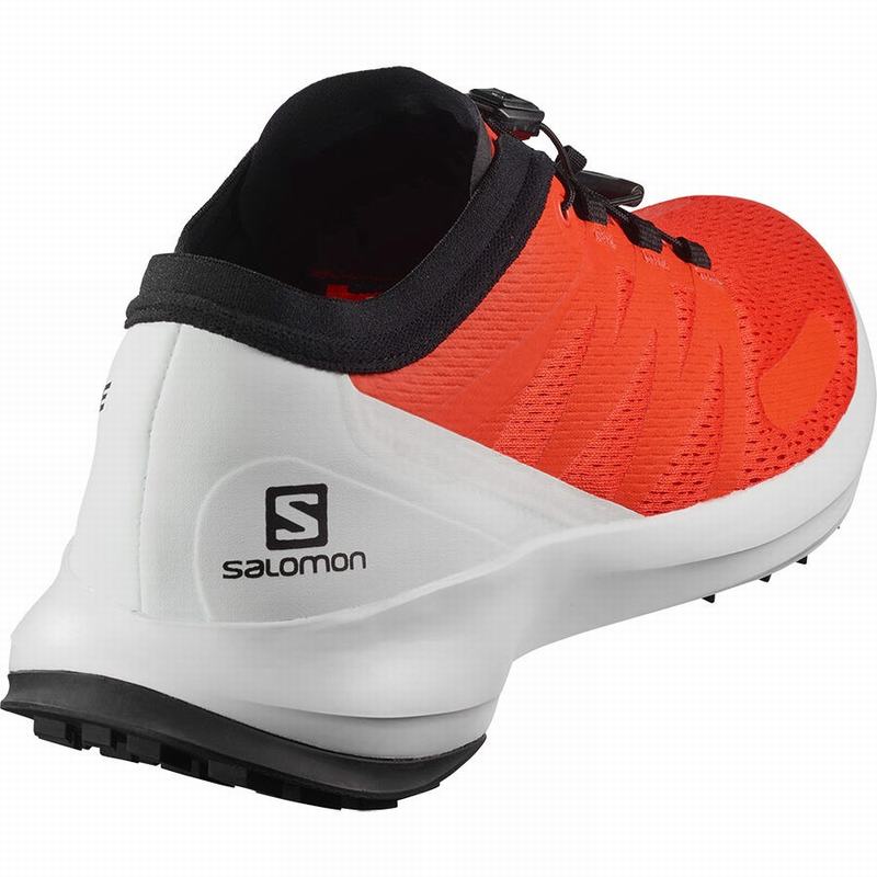 Men's Salomon SENSE FLOW Trail Running Shoes Orange | US-QXLY681