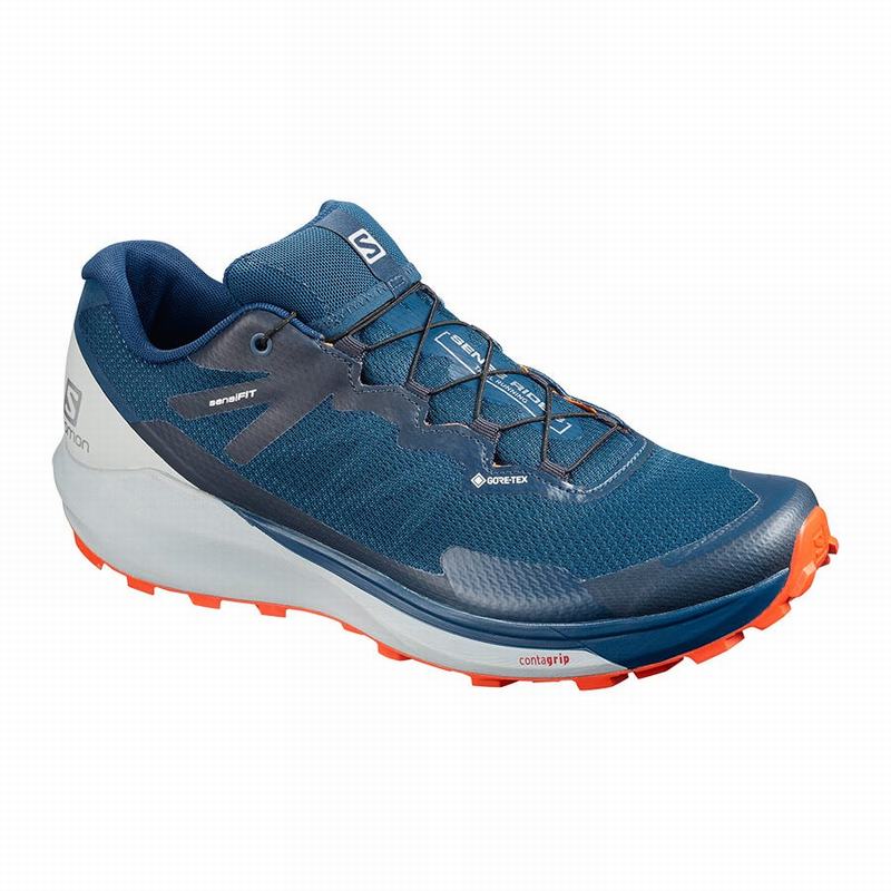 Men\'s Salomon SENSE RIDE 3 GTX INVIS. FIT Running Shoes Navy | US-QLZE806