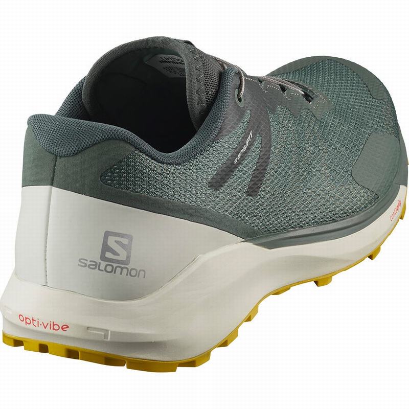 Men's Salomon SENSE RIDE 3 Running Shoes Olive | US-QBFG857