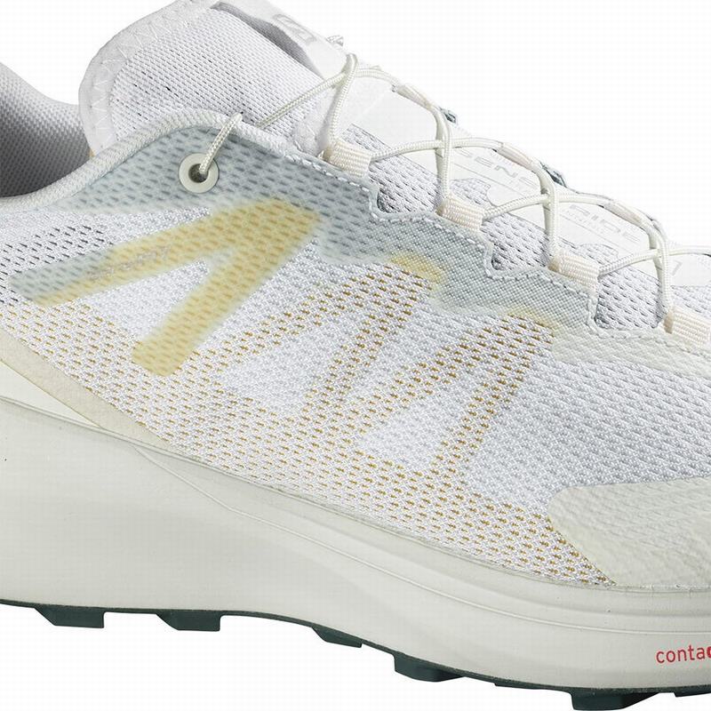 Men's Salomon SENSE RIDE 3 Trail Running Shoes White | US-MXBJ954