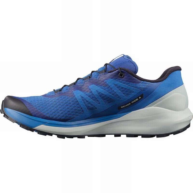 Men's Salomon SENSE RIDE 4 Running Shoes Blue | US-CZIE906