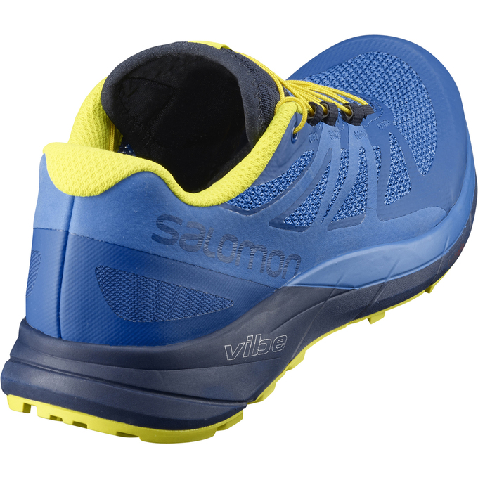 Men's Salomon SENSE RIDE Trail Running Shoes Blue / Navy | US-RFYN280