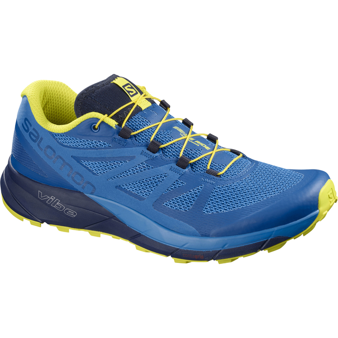 Men\'s Salomon SENSE RIDE Trail Running Shoes Blue / Navy | US-RFYN280