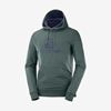 Men's Salomon SHIFT HOODIE M Midlayers Green | US-MJZY970