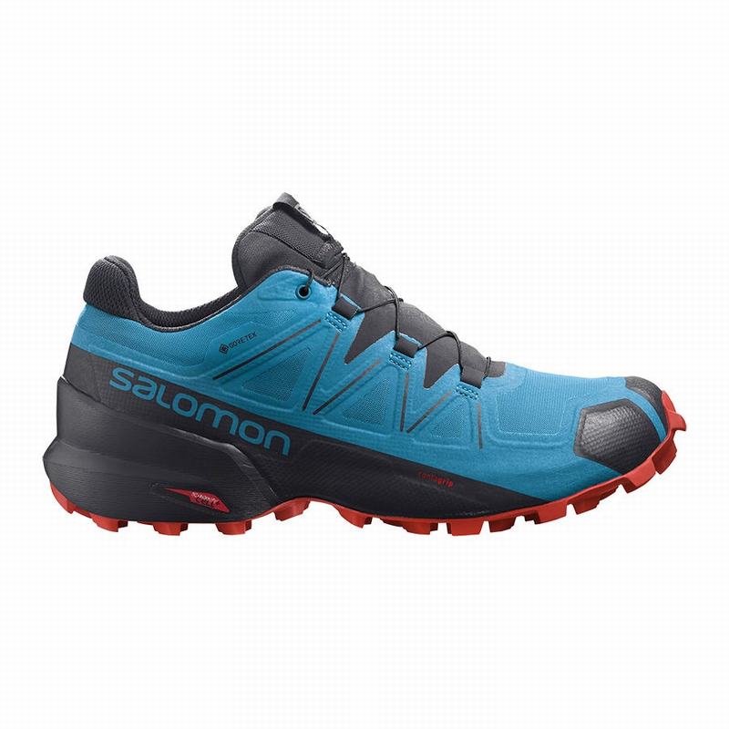 Men\'s Salomon SPEEDCROSS 5 GORE-TEX Trail Running Shoes Blue / Black | US-YMEG732