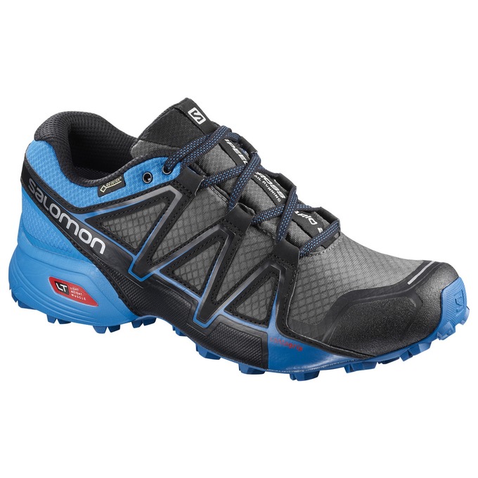 Men\'s Salomon SPEEDCROSS VARIO 2 GTX Trail Running Shoes Silver / Blue | US-EYUG579