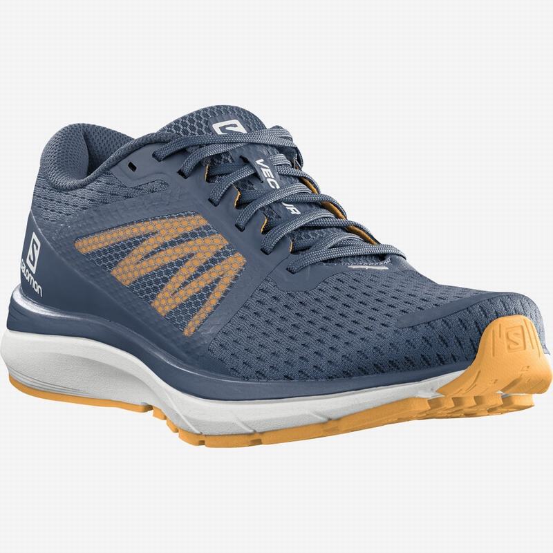 Men's Salomon VECTUR Running Shoes Navy / White | US-BJTK093