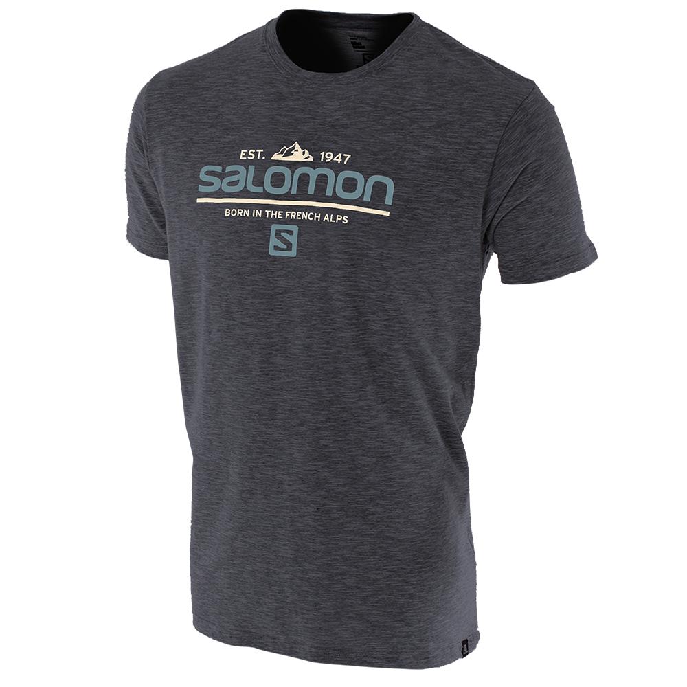 Men\'s Salomon VISIONARY SS M T Shirts Grey | US-CYDB708