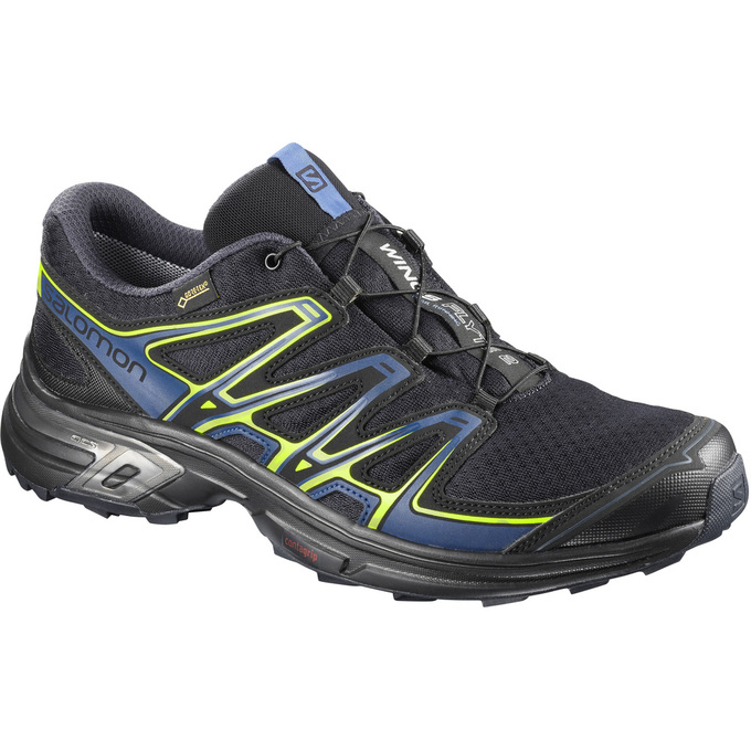 Men\'s Salomon WINGS FLYTE 2 GTX Trail Running Shoes Black | US-IQAY358