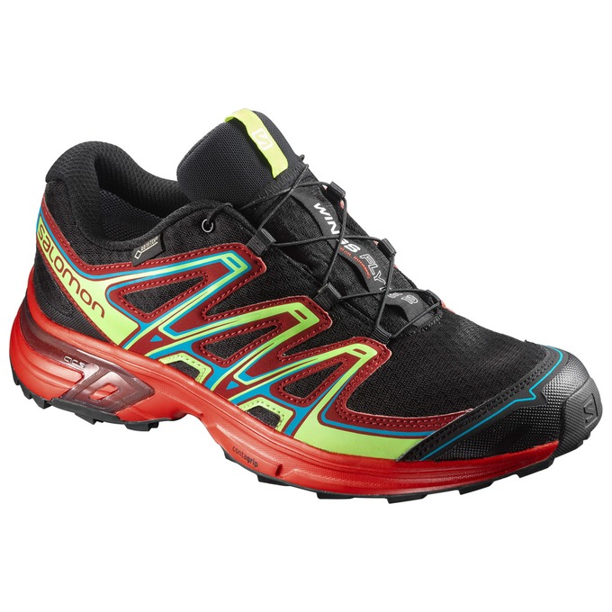 Men\'s Salomon WINGS FLYTE 2 GTX Trail Running Shoes Black / Dark Red | US-WPMQ793