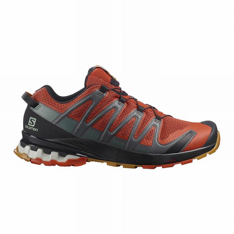 Men\'s Salomon XA PRO 3D V8 Trail Running Shoes Black | US-ZSJT637