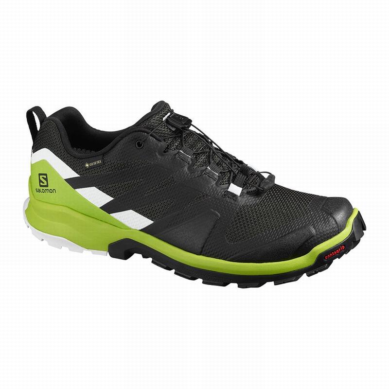 Men\'s Salomon XA ROGG GTX Hiking Shoes Black / Light Green | US-MAQI107