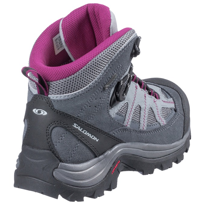 Women's Salomon AUTHENTIC LTR GTX W Hiking Boots Silver / Purple | US-OHQF194