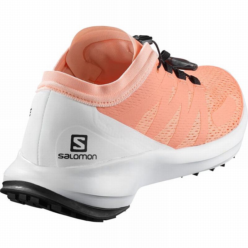 Women's Salomon SENSE FLOW W Trail Running Shoes White | US-TQGZ051