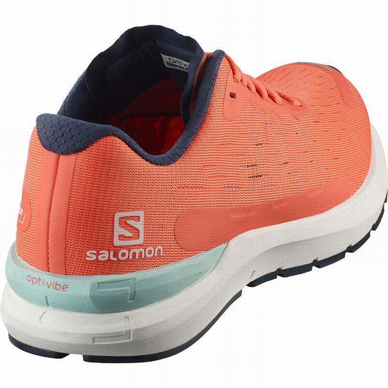 Women's Salomon SONIC 3 BALANCE W Running Shoes Brown / White | US-AFOD936