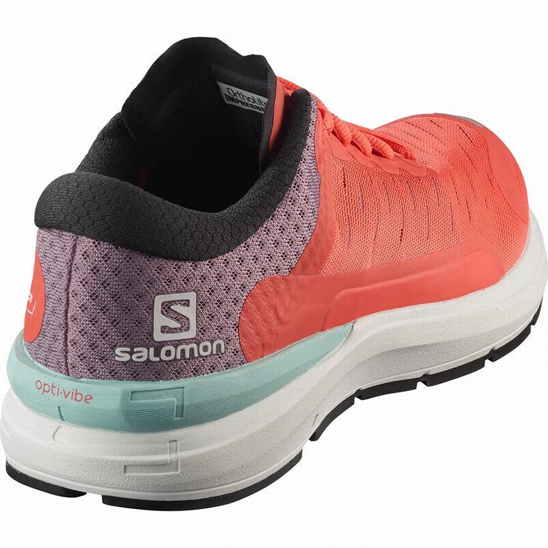 Women's Salomon SONIC 3 CONFIDENCE W Running Shoes Brown / White | US-YWHI031