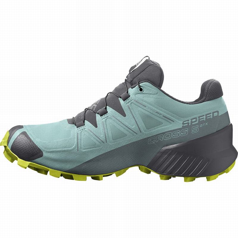 Women's Salomon SPEEDCROSS 5 GORE-TEX Trail Running Shoes Turquoise / Dark Grey | US-GDEM258