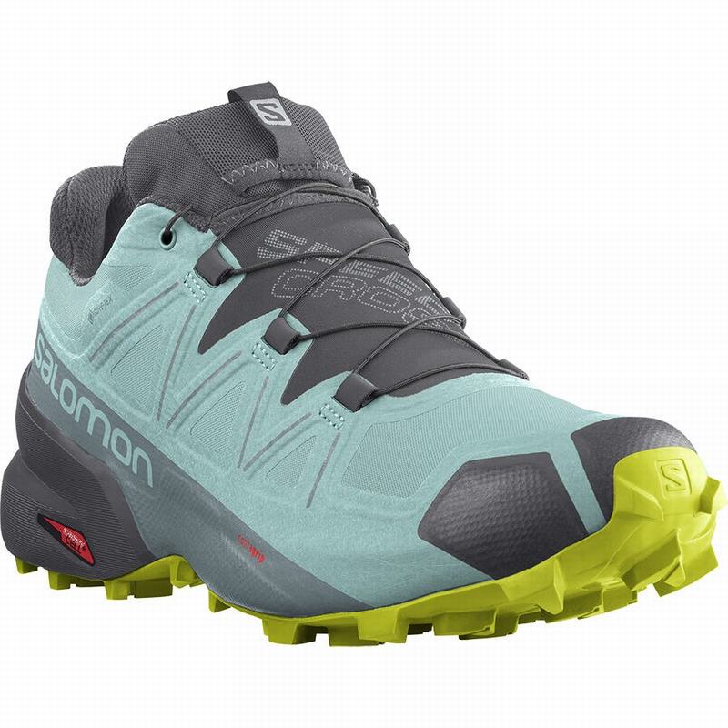 Women's Salomon SPEEDCROSS 5 GORE-TEX Trail Running Shoes Turquoise / Dark Grey | US-GDEM258