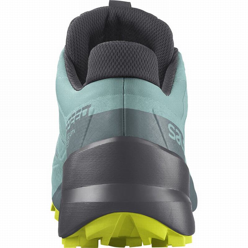 Women's Salomon SPEEDCROSS 5 GORE-TEX Trail Running Shoes Turquoise / Dark Grey | US-GDEM258