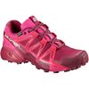 Women's Salomon SPEEDCROSS VARIO 2 GTX W Trail Running Shoes Silver | US-EJDU894