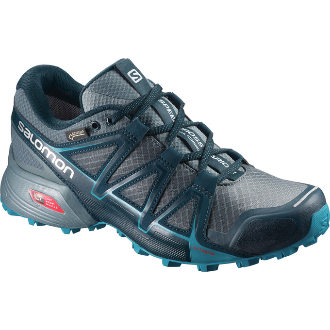 Women\'s Salomon SPEEDCROSS VARIO 2 GTX W Trail Running Shoes Silver | US-EJDU894