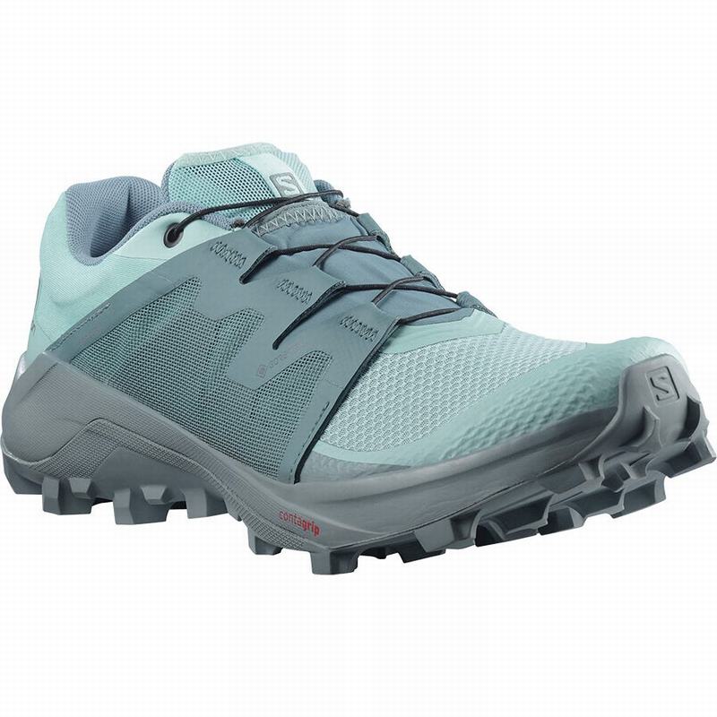 Women's Salomon WILDCROSS GTX Trail Running Shoes Turquoise / Turquoise | US-DGHX158