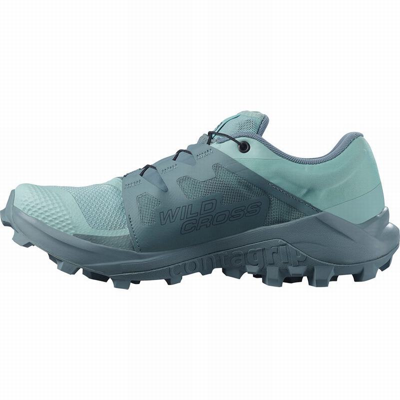 Women's Salomon WILDCROSS GTX Trail Running Shoes Turquoise / Turquoise | US-DGHX158