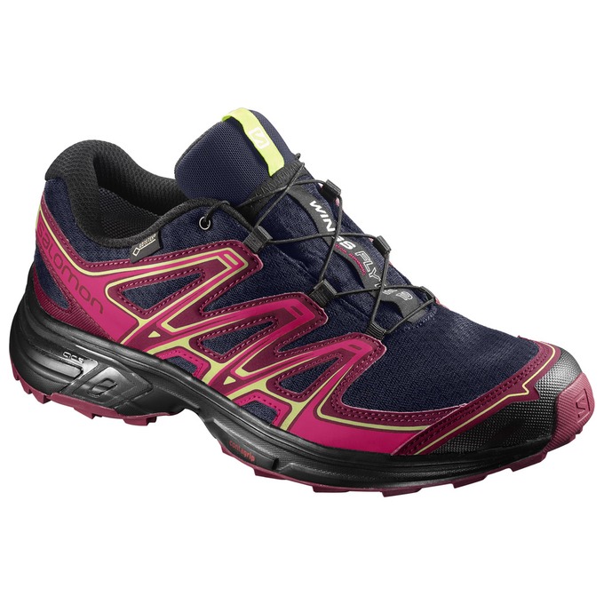 Women\'s Salomon WINGS FLYTE 2 GTX W Trail Running Shoes Pink / Navy | US-SZAR973