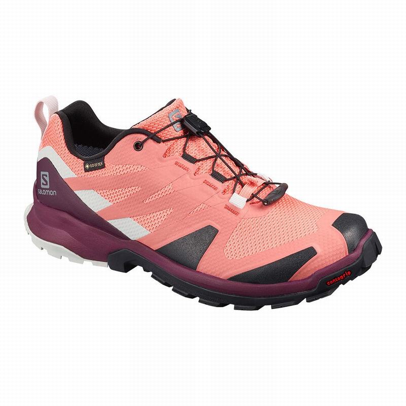 Women\'s Salomon XA ROGG GTX W Trail Running Shoes Coral / Black | US-FYVN742