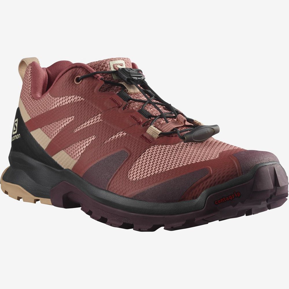 Women's Salomon XA ROGG Trail Running Shoes Multicolor | US-SIVM180