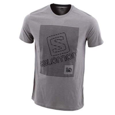 Kids' Salomon FINELINE SS B T Shirts Grey | US-ABCD029