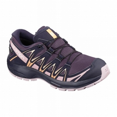 Kids' Salomon XA PRO 3D CLIMASALOMON WATERPROOF Hiking Shoes Purple / Blue | US-SYCF364