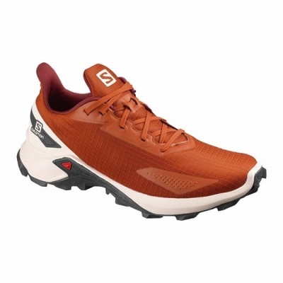 Men's Salomon ALPHACROSS BLAST Trail Running Shoes Orange | US-CDSJ385