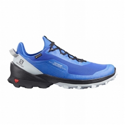 Men's Salomon CROSS OVER GORE-TEX Hiking Shoes Blue / Black | US-UCXB396