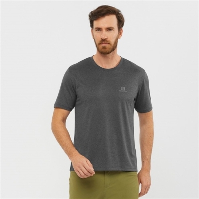 Men's Salomon EXPLORE M Short Sleeve T Shirts Grey | US-QMZW286