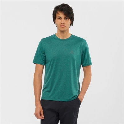 Men's Salomon EXPLORE M Short Sleeve T Shirts Green | US-TNAD365