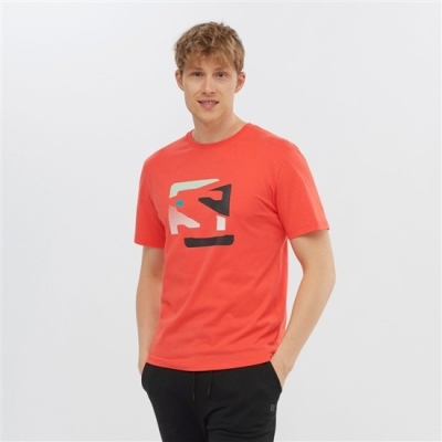 Men's Salomon OUTLIFE GRAPHIC DISRUPTED LOGO SS M Short Sleeve T Shirts Orange | US-YEPD351