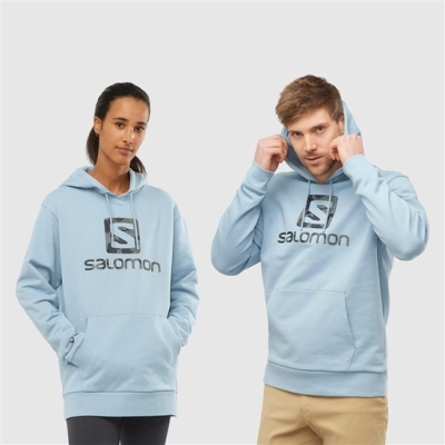 Men's Salomon OUTLIFE LOGO SUMMER Sportswear Hoodie Ashley Blue | US-AMFC809