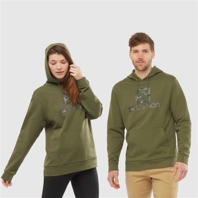 Men's Salomon OUTLIFE LOGO SUMMER Sportswear Hoodie Olive | US-LQKH423