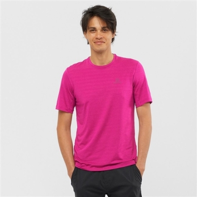 Men's Salomon OUTLINE New Trail Running Gear T Shirts Purple | US-RGYW451