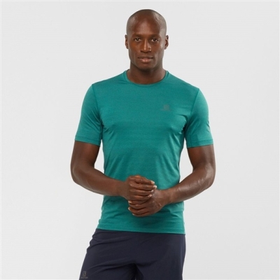 Men's Salomon OUTLINE New Trail Running Gear T Shirts Green | US-XBSM270