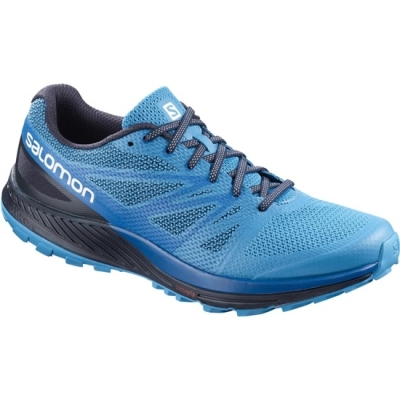 Men's Salomon SENSE ESE Trail Running Shoes Blue / Navy | US-YEID915